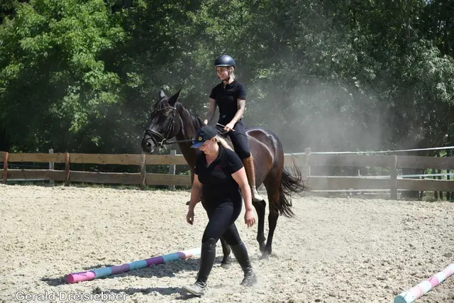 Foto: Gerald Dreisiebner