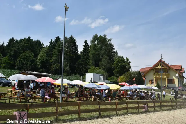 Foto: Gerald Dreisiebner