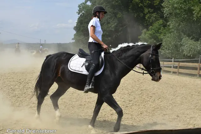 Foto: Gerald Dreisiebner