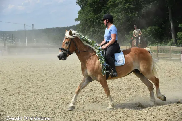 Foto: Gerald Dreisiebner