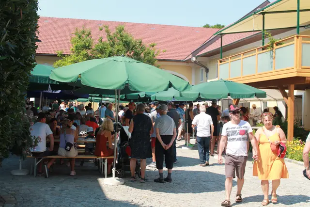 Foto: MeinBezirk Linz-Land