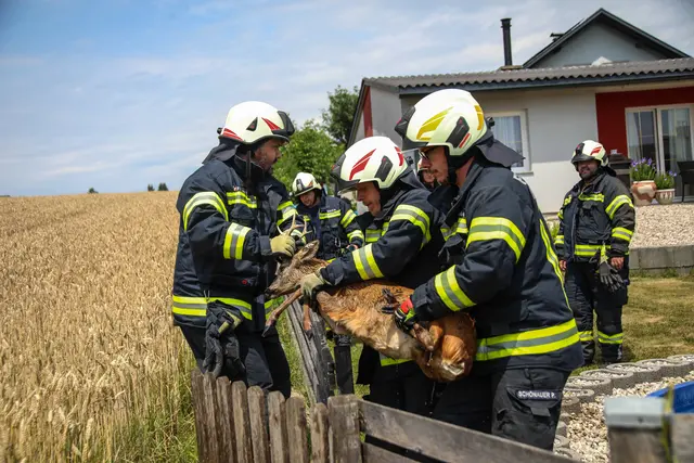 Foto: laumat/Christian Schürrer
