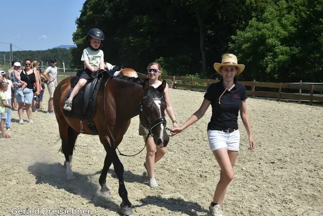 Foto: Gerald Dreisiebner