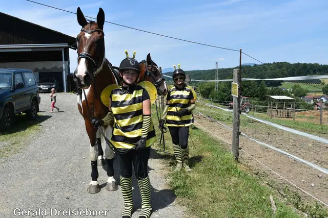 Foto: Gerald Dreisiebner