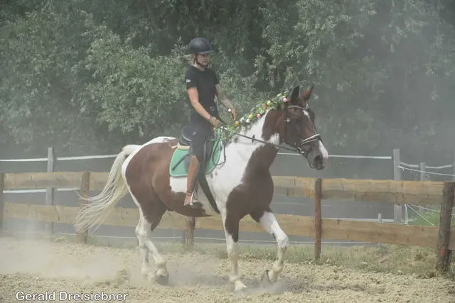 Foto: Gerald Dreisiebner