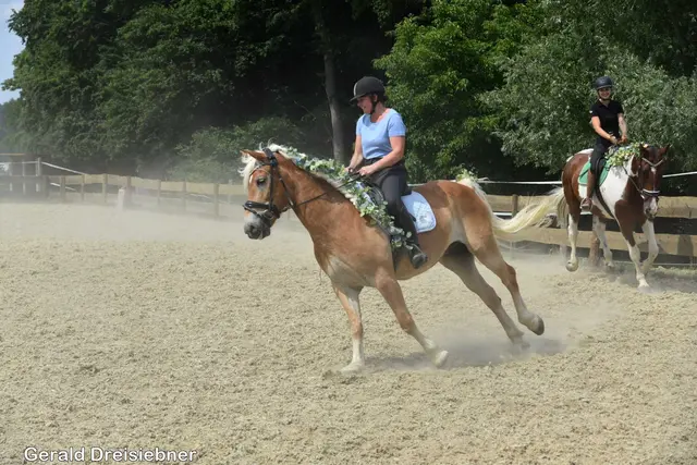 Foto: Gerald Dreisiebner