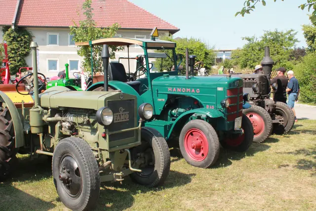 Foto: MeinBezirk Linz-Land