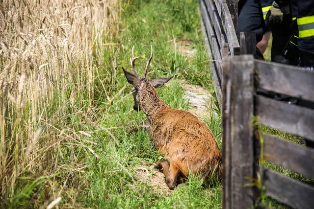 Foto: laumat/Christian Schürrer