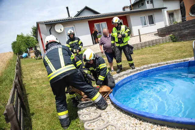 Foto: laumat/Christian Schürrer