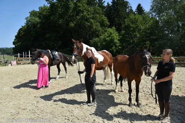 Foto: Gerald Dreisiebner