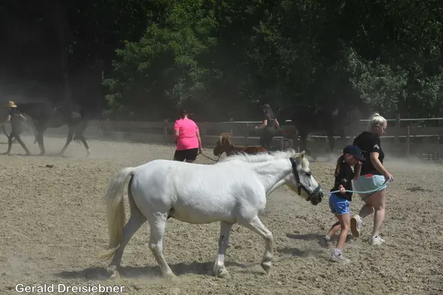 Foto: Gerald Dreisiebner