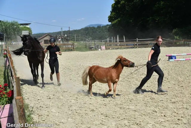 Foto: Gerald Dreisiebner