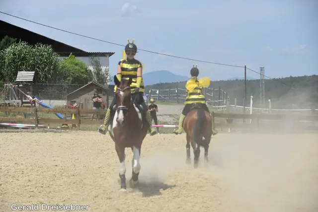 Foto: Gerald Dreisiebner