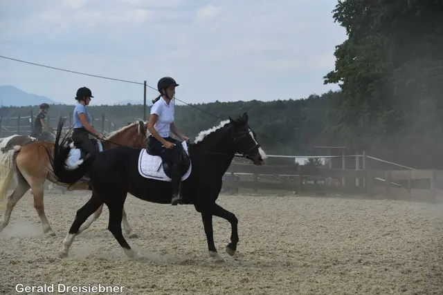 Foto: Gerald Dreisiebner