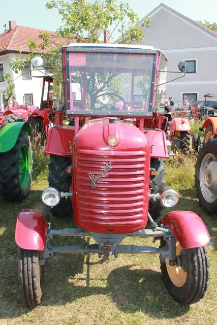 Foto: MeinBezirk Linz-Land