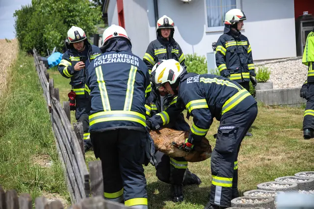 Foto: laumat/Christian Schürrer