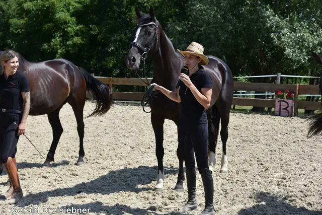 Foto: Gerald Dreisiebner