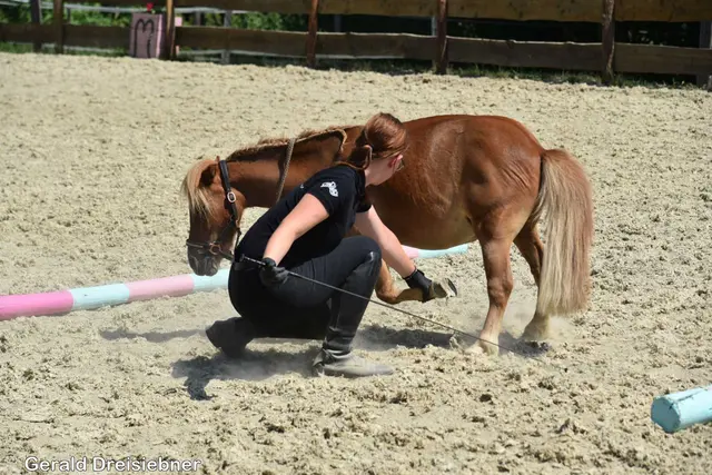 Foto: Gerald Dreisiebner