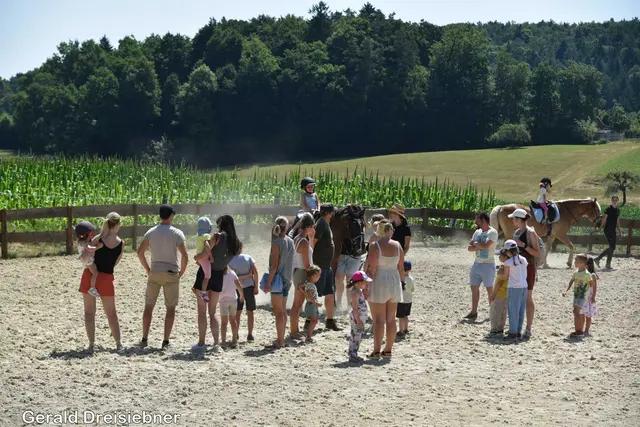 Foto: Gerald Dreisiebner