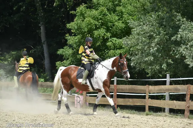 Foto: Gerald Dreisiebner