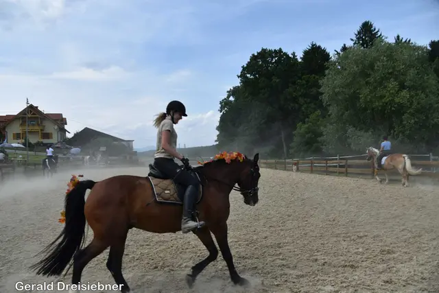 Foto: Gerald Dreisiebner