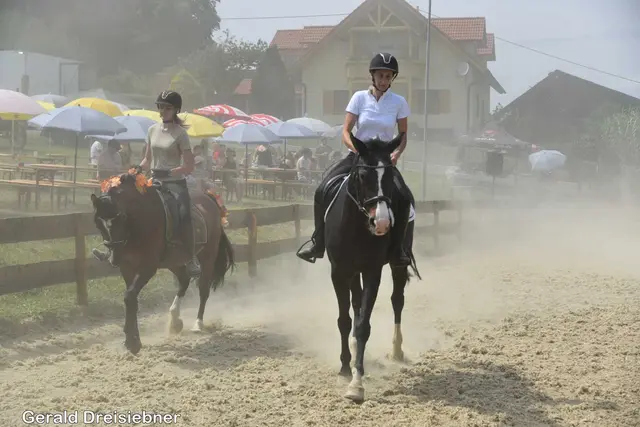 Foto: Gerald Dreisiebner