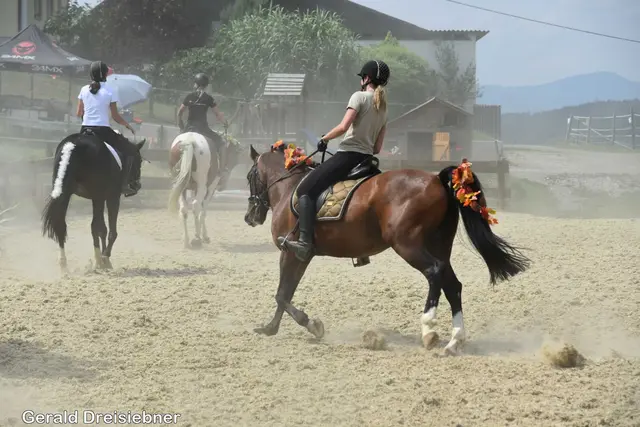 Foto: Gerald Dreisiebner