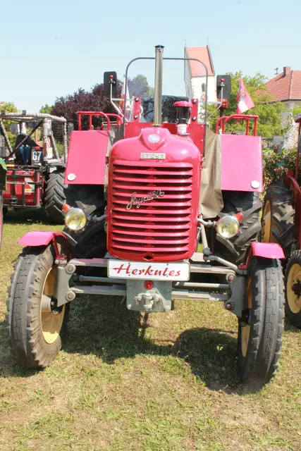 Foto: MeinBezirk Linz-Land