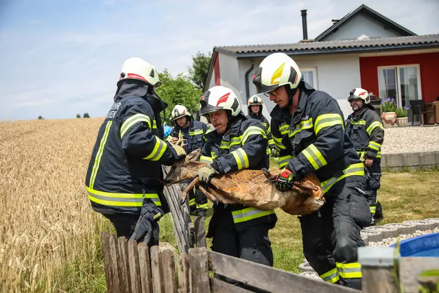 Foto: laumat/Christian Schürrer