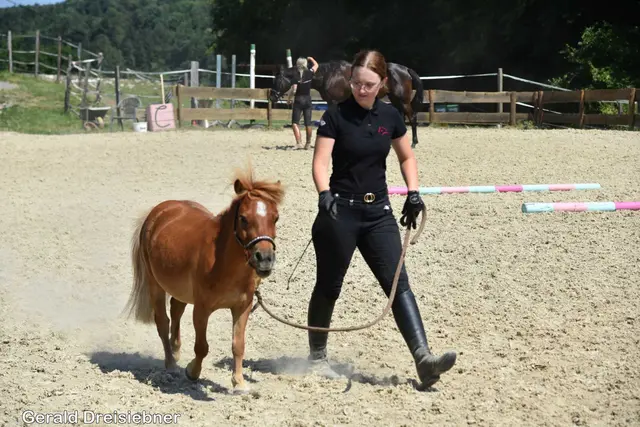 Foto: Gerald Dreisiebner