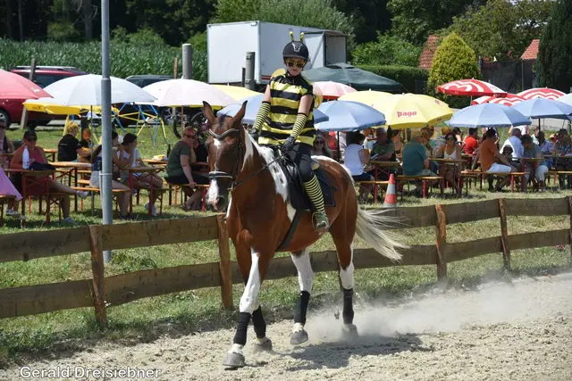 Foto: Gerald Dreisiebner