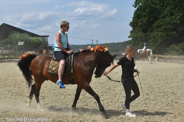 Foto: Gerald Dreisiebner