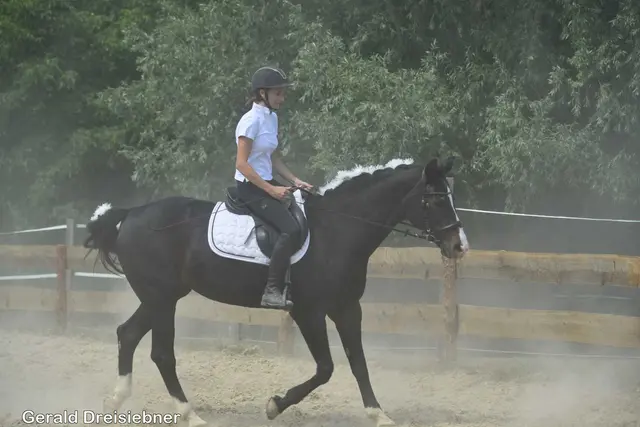 Foto: Gerald Dreisiebner