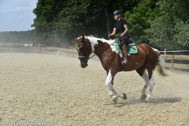 Foto: Gerald Dreisiebner