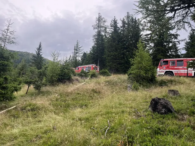Foto: Freiwillige Feuerwehr Metnitz