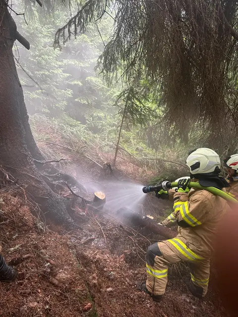 Die Freiwillige Feuerwehr (FF) Ramingstein wurde am Montagvormittag, 7. Juli 2025, zu einem Flurbrand im Ortsteil Kendlbruck alarmiert. | Foto: FF-Ramingstein