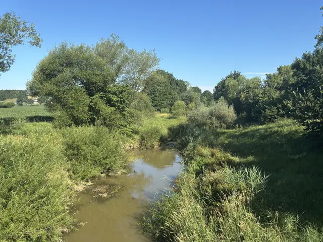Der Strembach (Bild) führt im Sommer durchschnittlich um 41 Prozent weniger Wasser als früher, die Pinka um 23 Prozent weniger. | Foto: Wurglits
