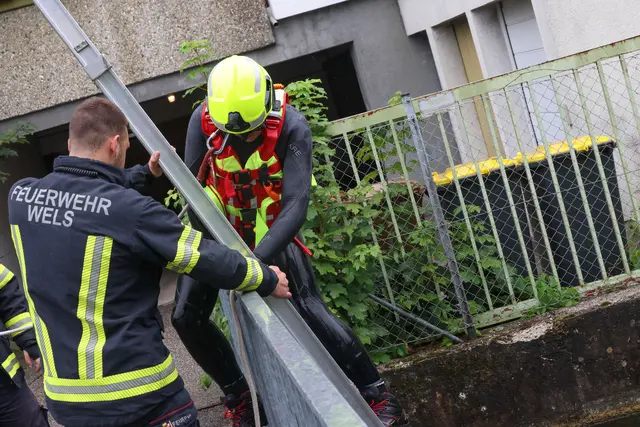 Waffenfund im Welser Mühlbach: Fließwasserretter der Feuerwehr bringt eine Pistole für die Polizei zum Vorschein.