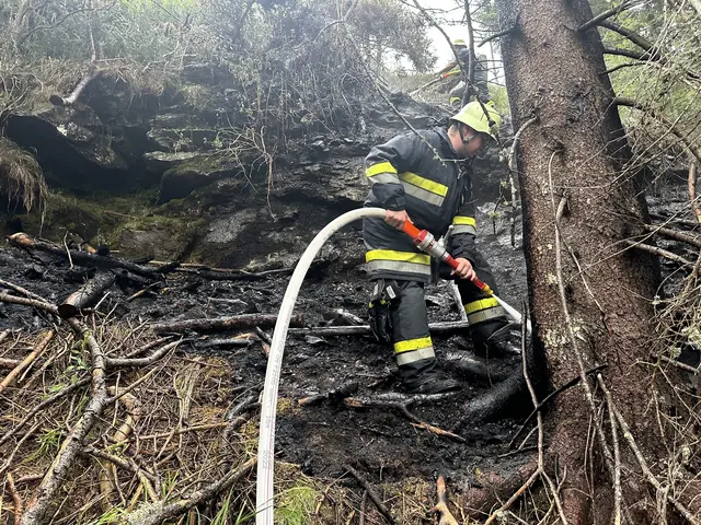 Foto: Freiwillige Feuerwehr Metnitz