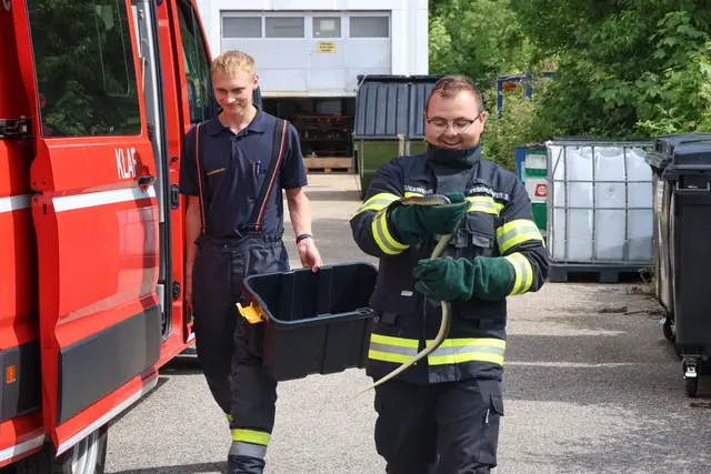 Unerwünschter Besuch auf der Toilette eines Betriebs in Wels-Pernau. Die Feuerwehr musste die eineinhalb Meter lange Schlange einfangen. | Foto: laumat.at