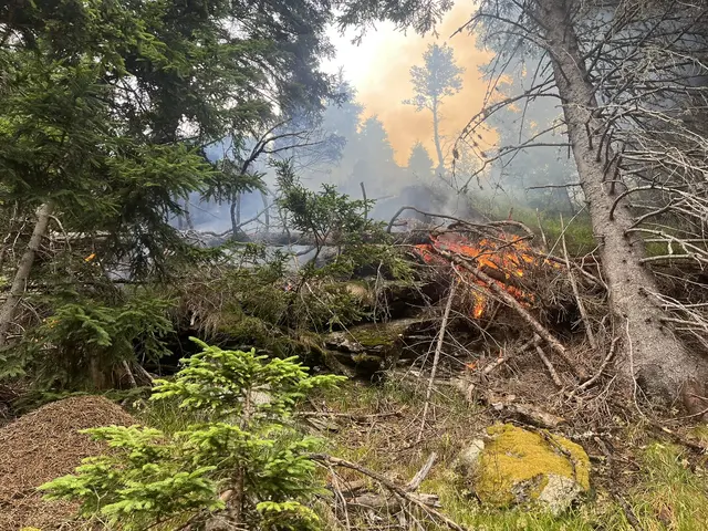 Foto: Freiwillige Feuerwehr Metnitz