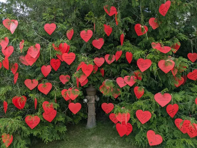 Beim Schloss Ambras Fest (15. August 2025) gibt es auch dieses Jahr wieder den "Wunschbaum".  | Foto: Hofgartenfreunde