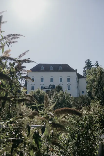 Das Schloss Ernegg bei Steinakirchen liegt mitten im Grünen. | Foto: Jewgenia Billiani/Schloss Ernegg