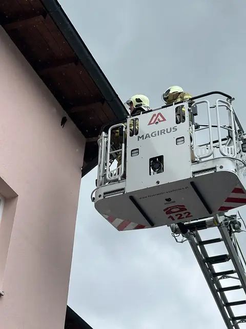 Die Feuerwehr Saalfelden rettete den Falken. | Foto: Feuerwehr Saalfelden