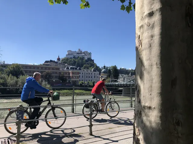 Immer mehr Menschen fahren Rad - in der Entwicklung der Verkehrsmittelanteile in der Stadt Salzburg von 1995 bis 2022 legte das Rad von 12 auf 23 Prozent zu. | Foto: Sabrina Moriggl