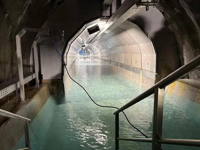 Der Mühlauer Quellstollens ist fertiggestellt, die Wegsperren zwischen Arzler und Rumer Alm auf sind aufgehoben. | Foto: IKN