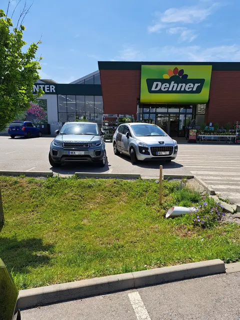 Kunstparker im Peugeot. | Foto: Petra Grill