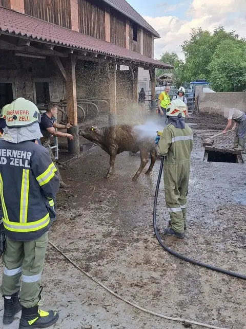 Nach der Rettung gab’s eine Dusche. | Foto: Freiwillige Feuerwehr Bad Zell