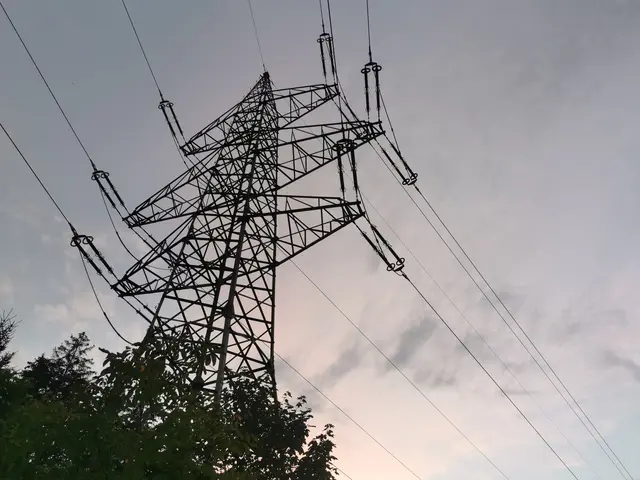 Die Stromkosten werden laut einer Studie heuer deutlich teurer werden (Symbolbild). | Foto: MeinBezirk Perg