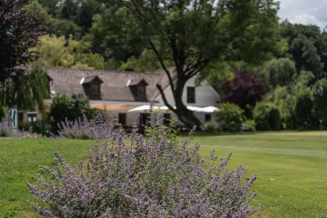 Einzigartiges Ambiente im Schloss Ernegg bei Steinakirchen am Forst | Foto: Nicole Stessl Photography/Schloss Ernegg